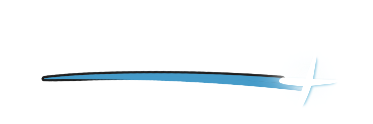 Logo claro da Lobbix+